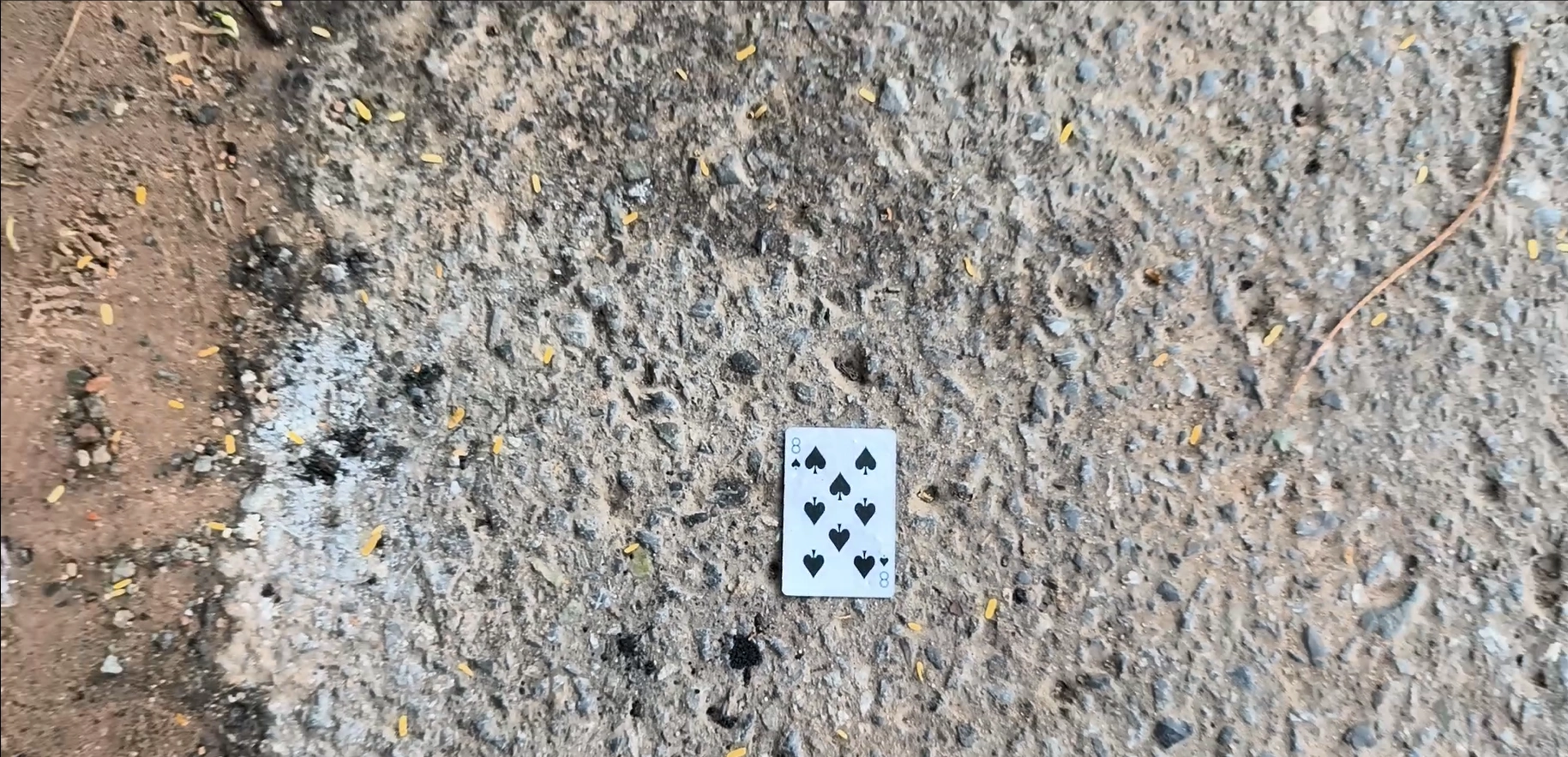 Discovery 05: 8♠, documented beside the road in Kep