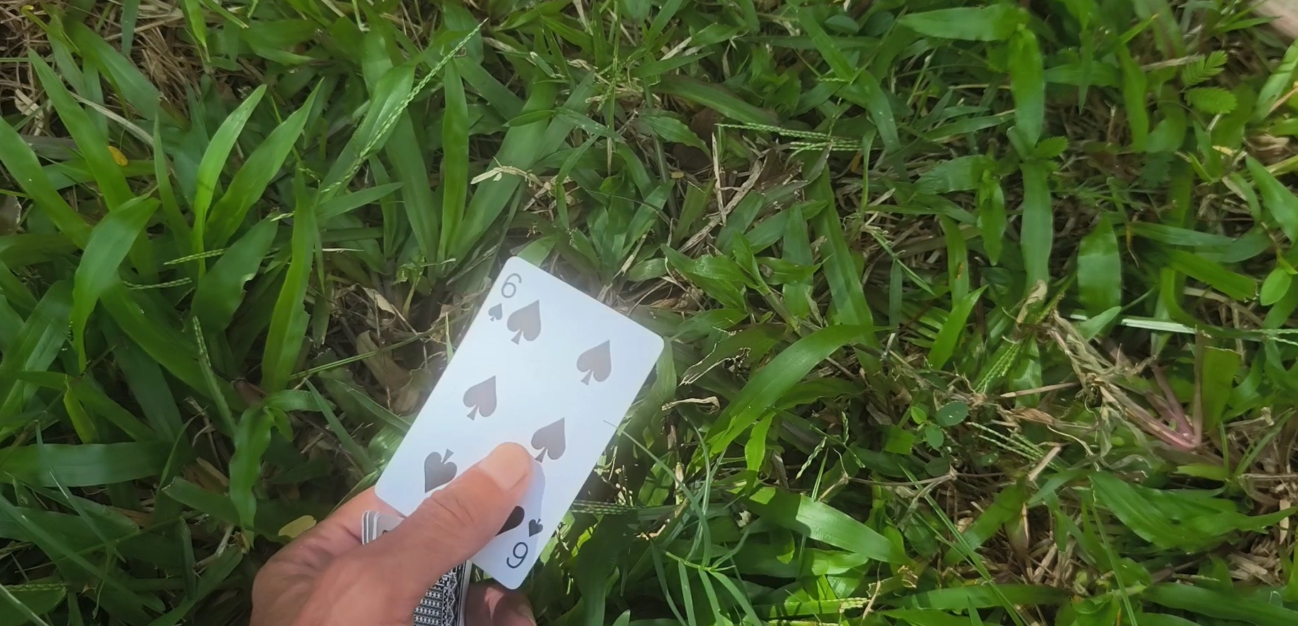 Discovery 11: 6♠, documented beside the road in Kep
