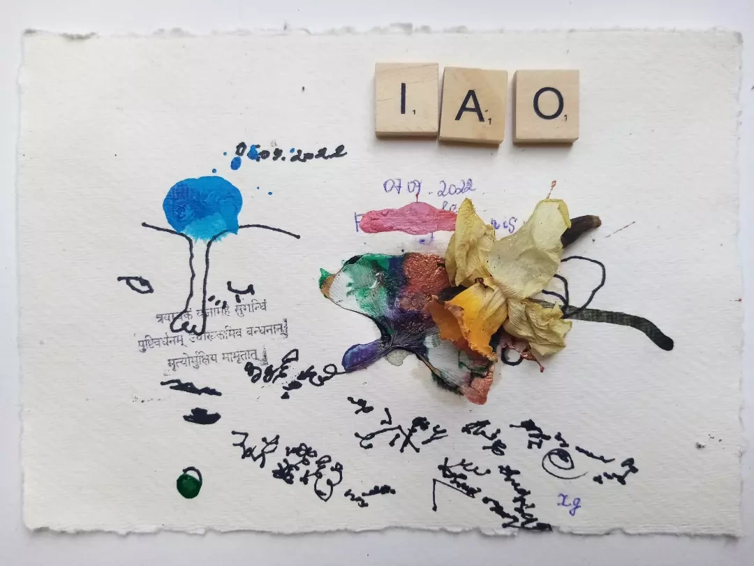 IAO letter tiles above a cluster of petals, colour and handwritten marks