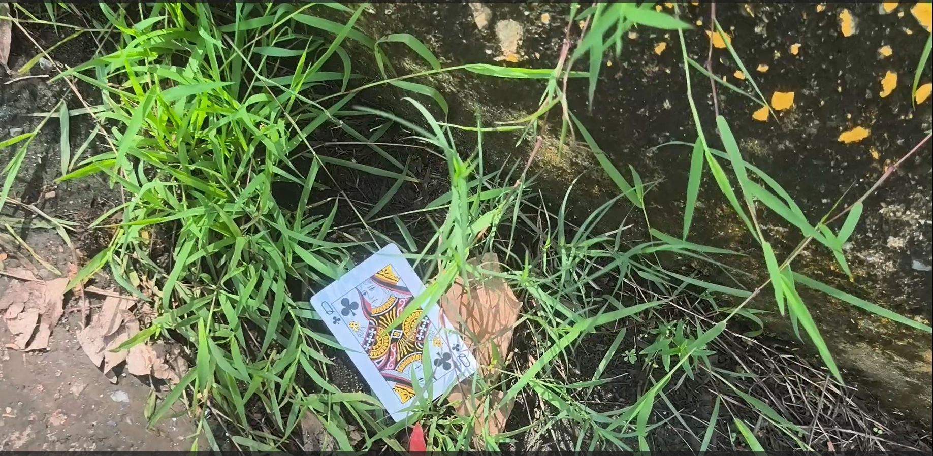 Discovery 10: Q♣, documented beside the road in Kep